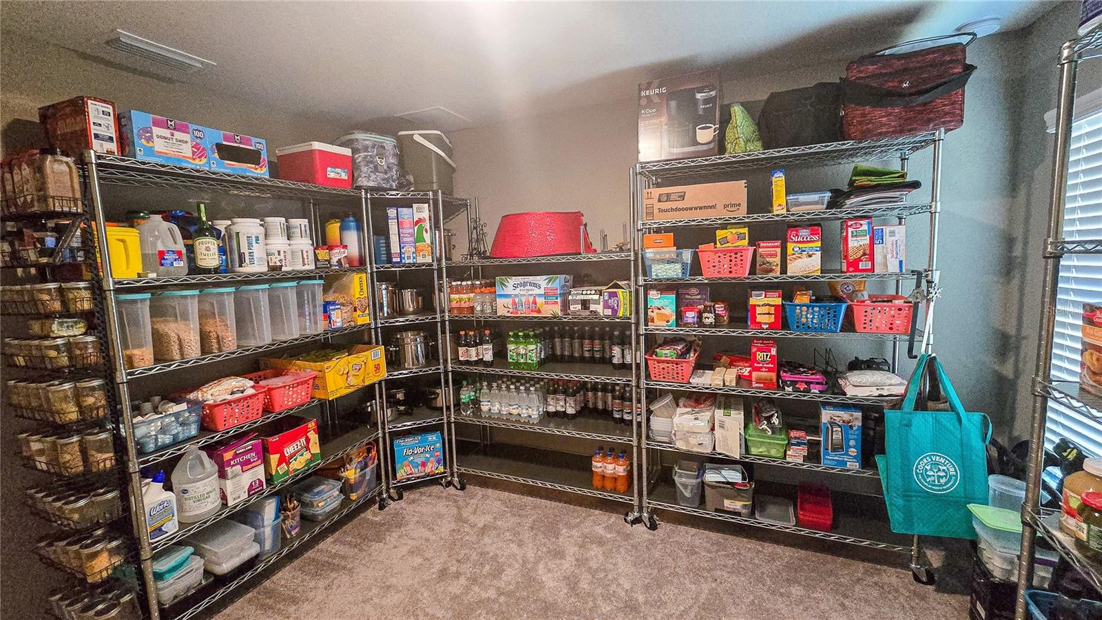 29 MATRICARIA CT, HOMOSASSA, FL, 34446