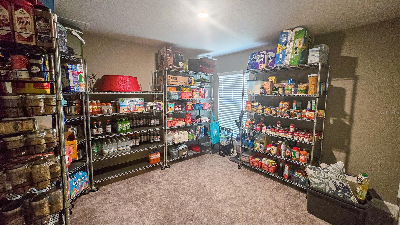 29 MATRICARIA CT, HOMOSASSA, FL, 34446