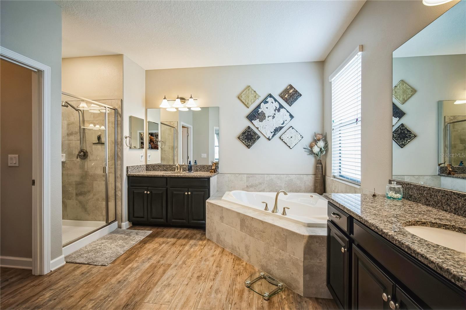 4716 COACHFORD DR, WESLEY CHAPEL, FL, 33543