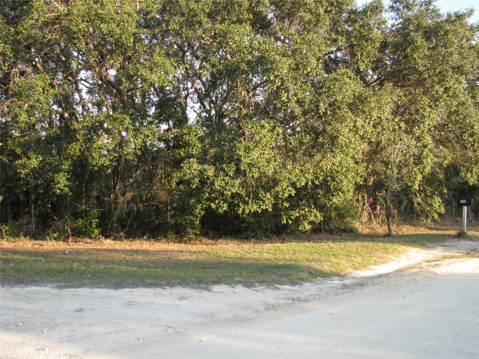 6281 SW 169TH CT, OCALA, FL, 34481