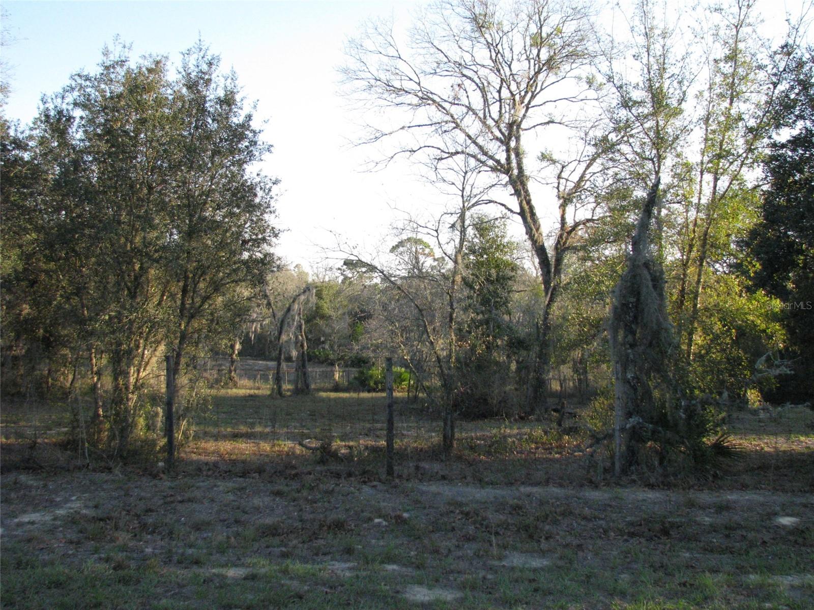 6281 SW 169TH CT, OCALA, FL, 34481