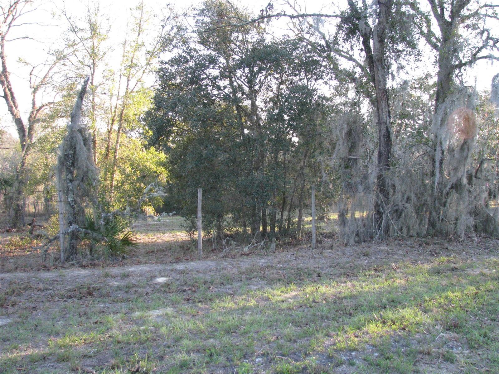 6281 SW 169TH CT, OCALA, FL, 34481