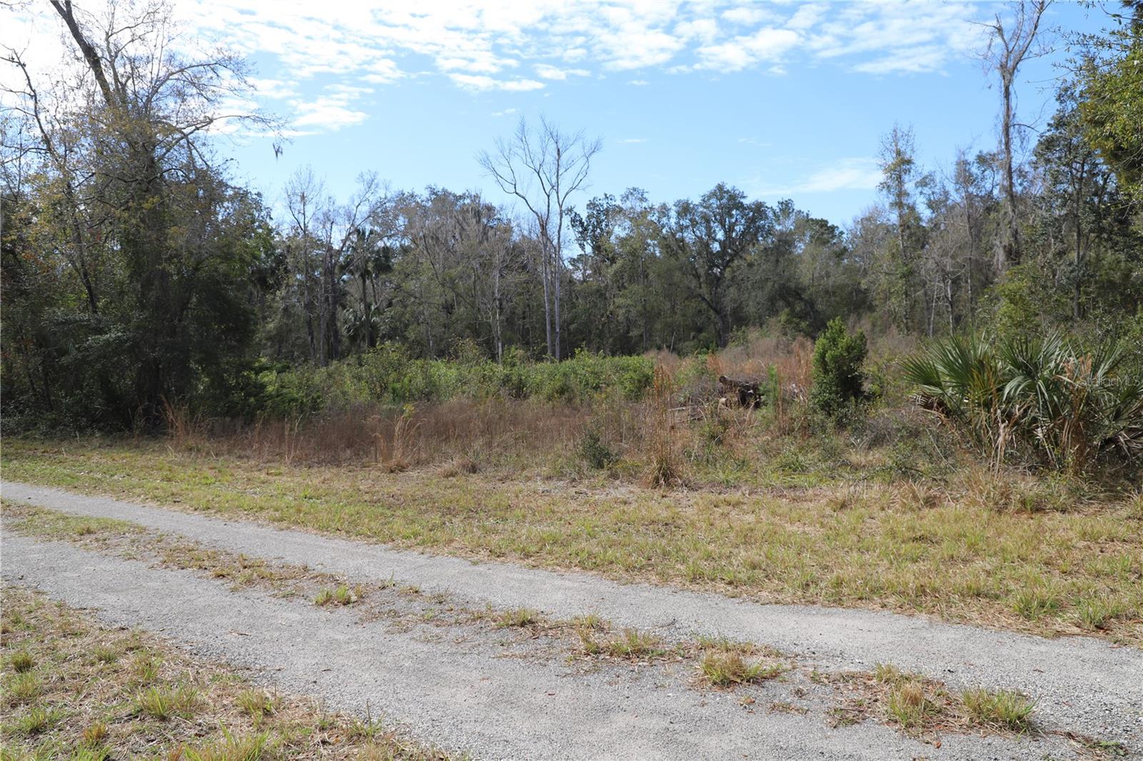 1620 SAINT MARKS POND BLVD, ST AUGUSTINE, FL, 32095