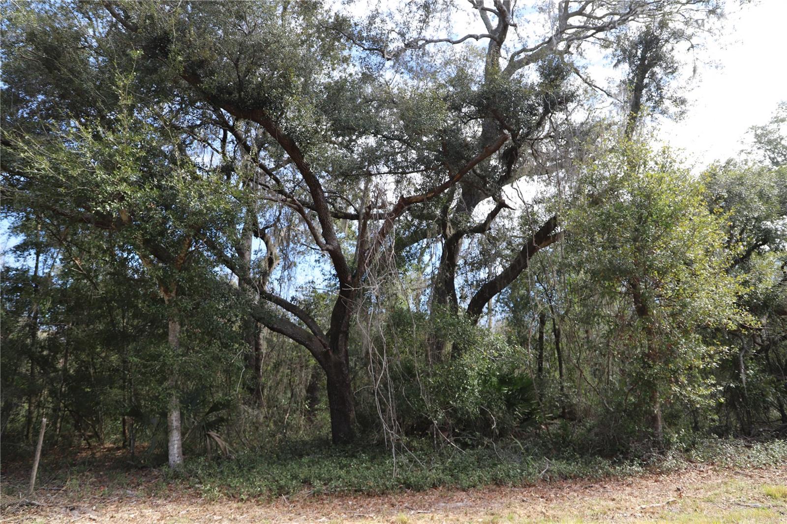 1620 SAINT MARKS POND BLVD, ST AUGUSTINE, FL, 32095