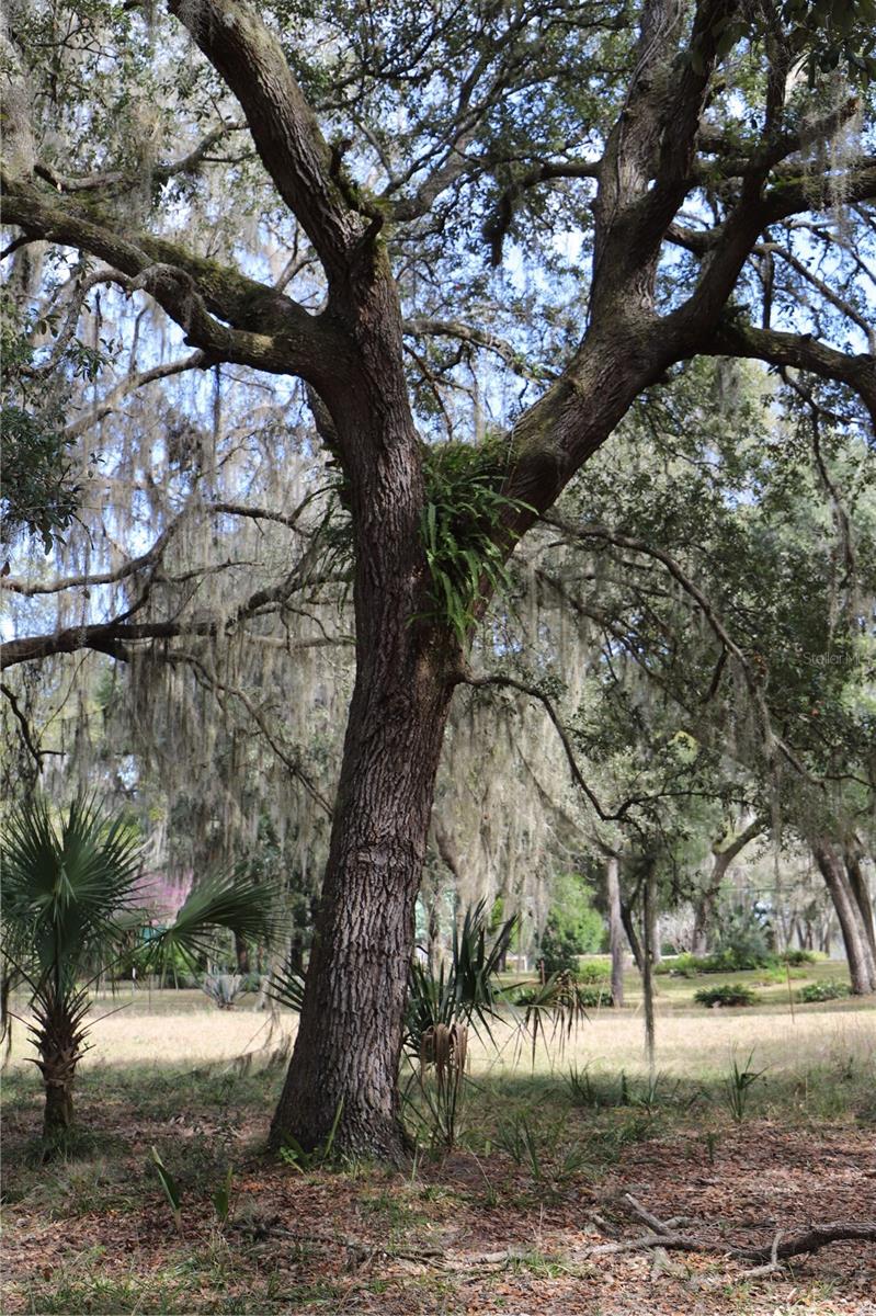 1620 SAINT MARKS POND BLVD, ST AUGUSTINE, FL, 32095