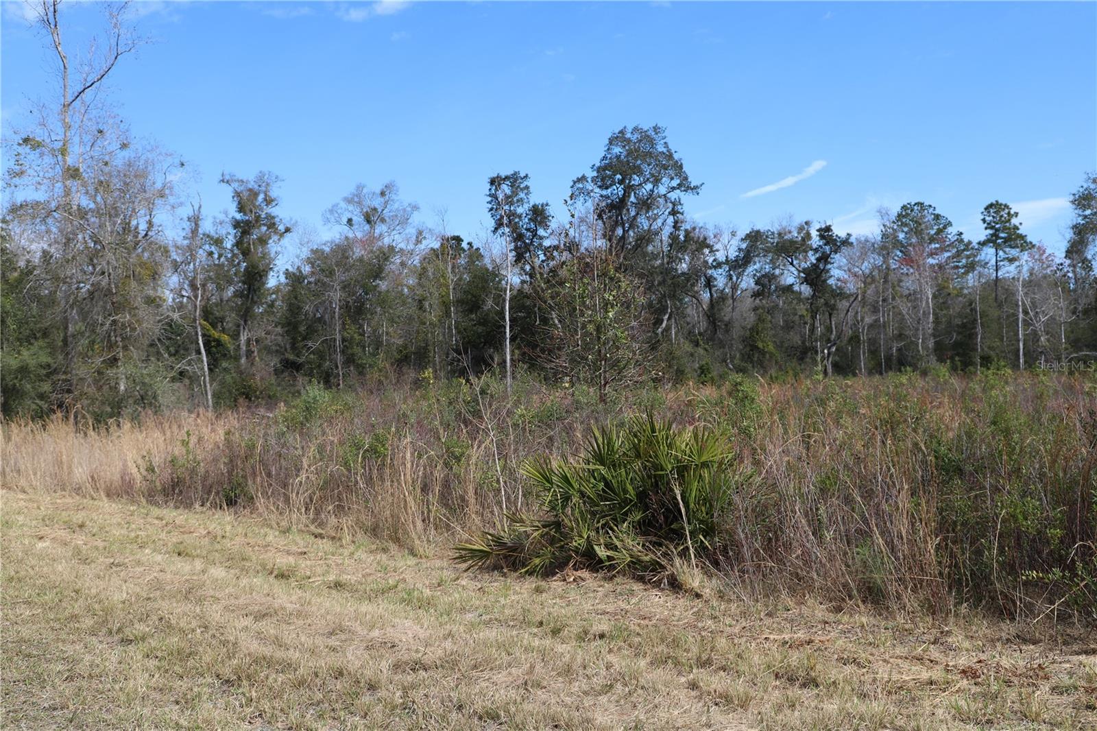 1620 SAINT MARKS POND BLVD, ST AUGUSTINE, FL, 32095