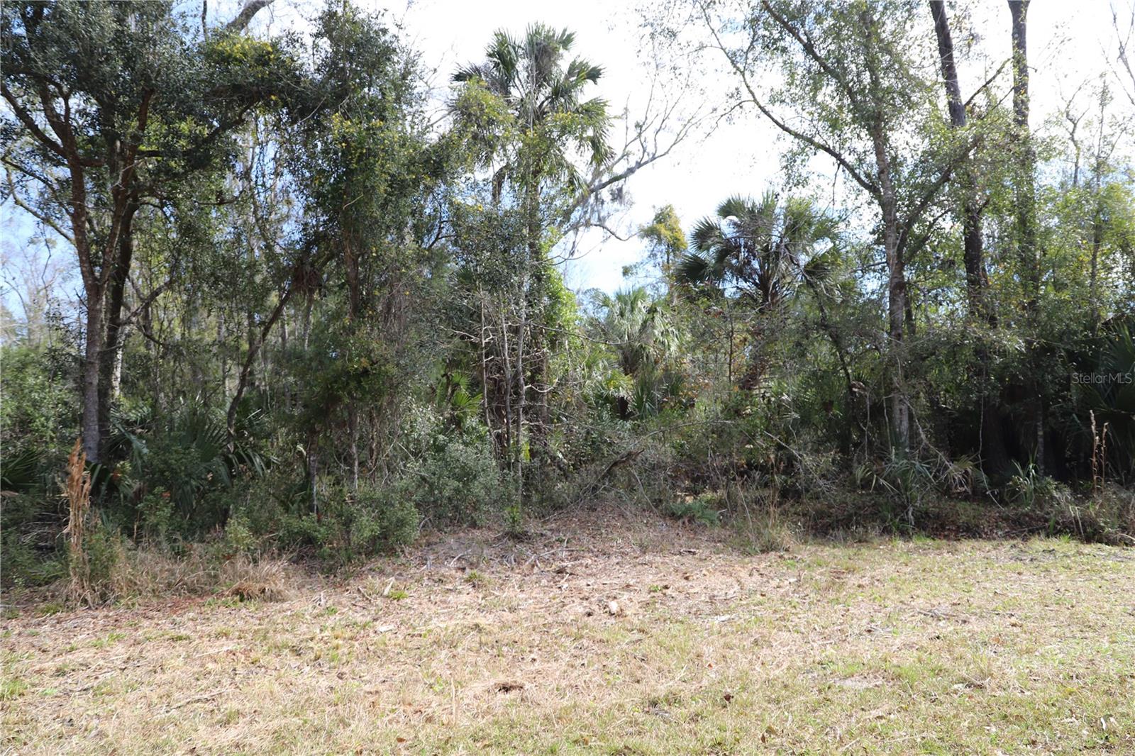 1620 SAINT MARKS POND BLVD, ST AUGUSTINE, FL, 32095