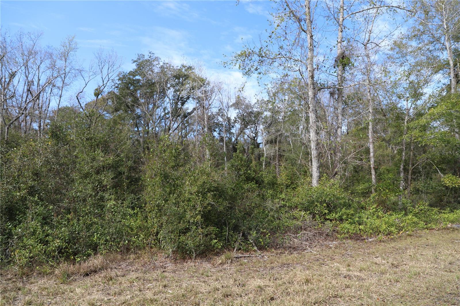 1620 SAINT MARKS POND BLVD, ST AUGUSTINE, FL, 32095