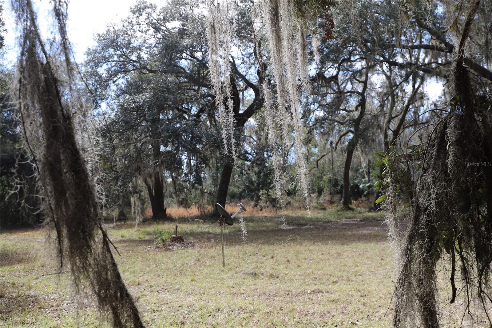 1620 SAINT MARKS POND BLVD, ST AUGUSTINE, FL, 32095