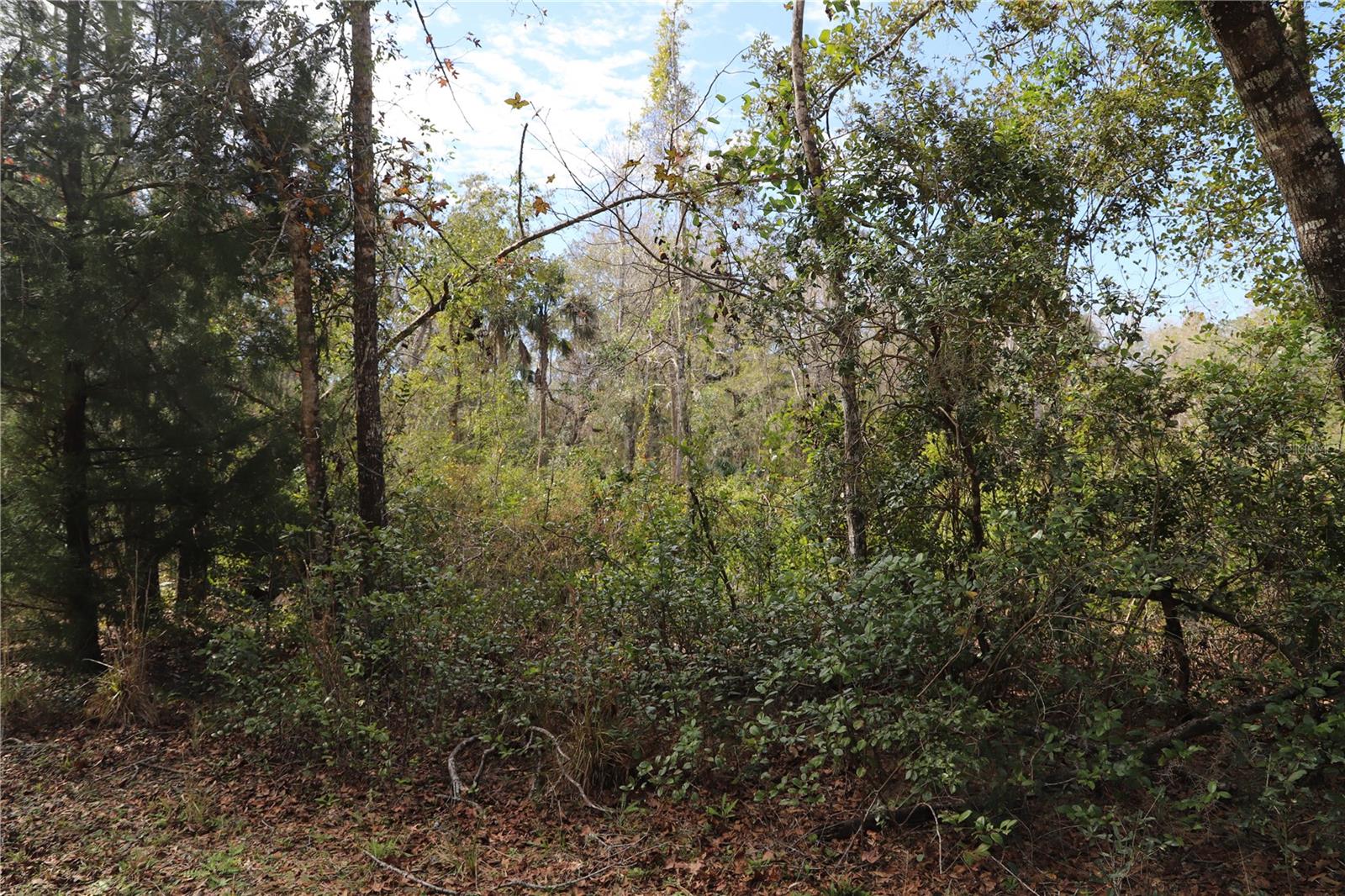 1620 SAINT MARKS POND BLVD, ST AUGUSTINE, FL, 32095