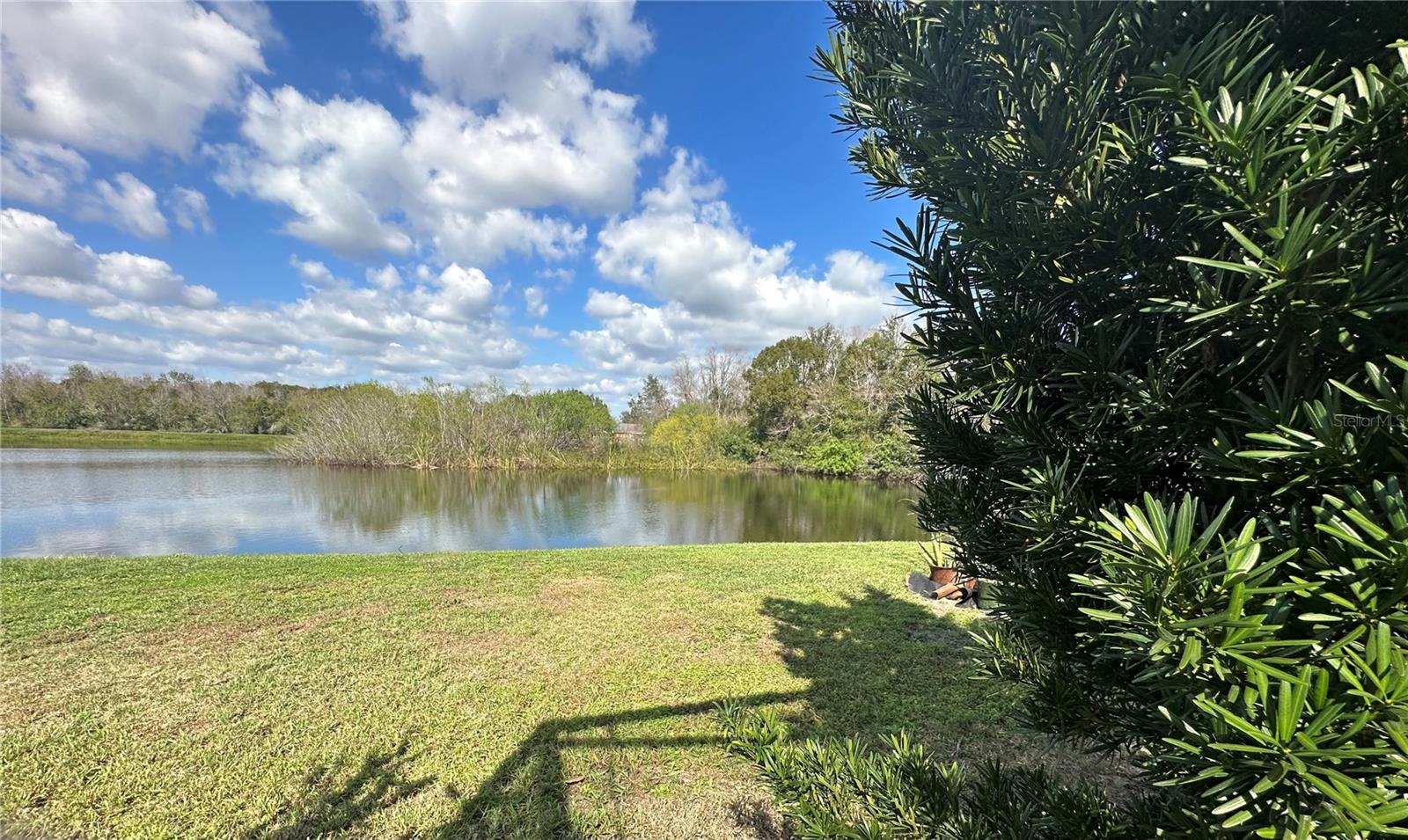 1112 LAKE SHORE RANCH DR, SEFFNER, FL, 33584