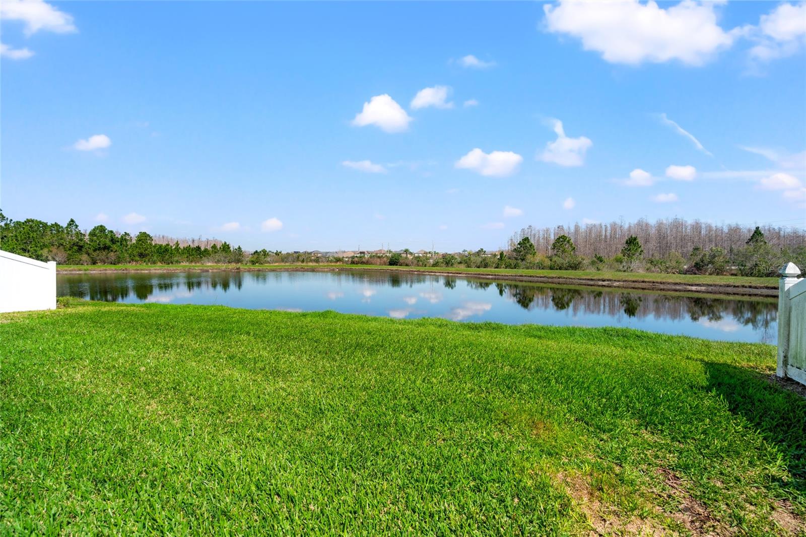 18855 HAMPSTEAD HEATH CT, LAND O LAKES, FL, 34638