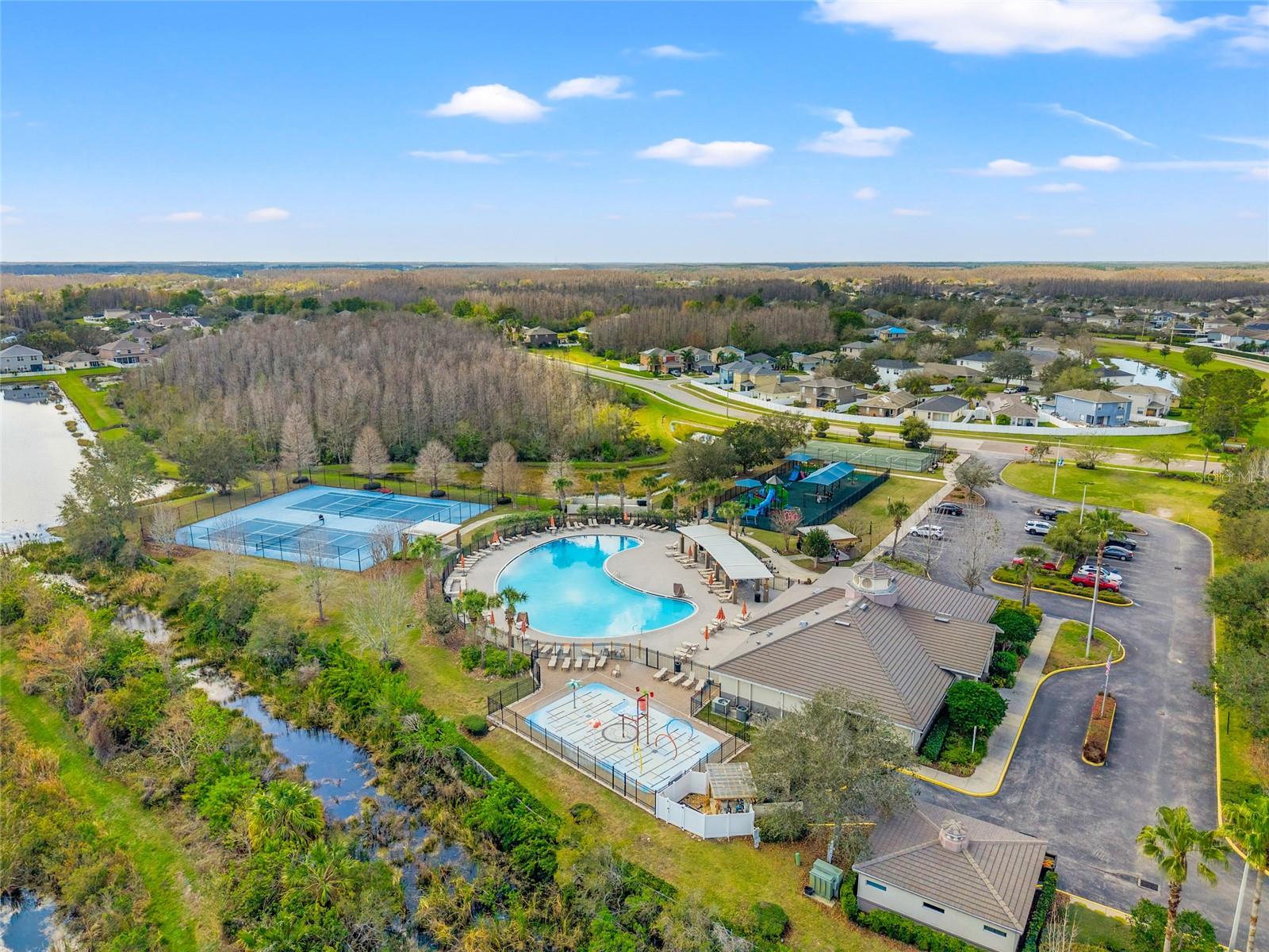18855 HAMPSTEAD HEATH CT, LAND O LAKES, FL, 34638
