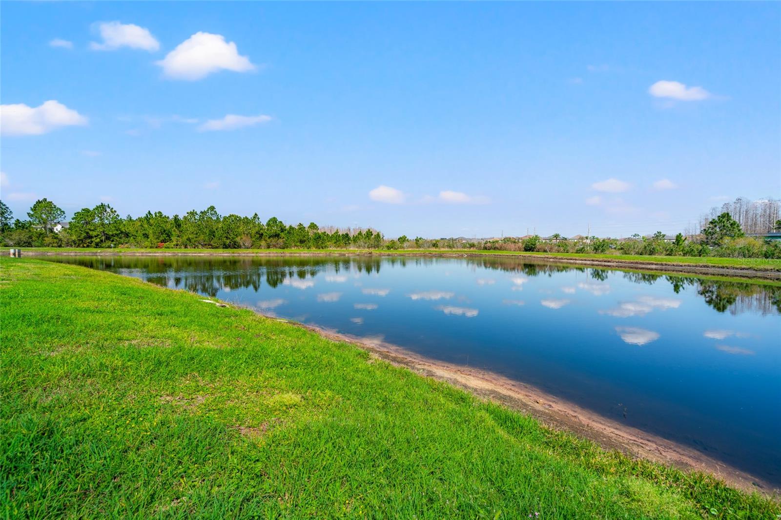 18855 HAMPSTEAD HEATH CT, LAND O LAKES, FL, 34638