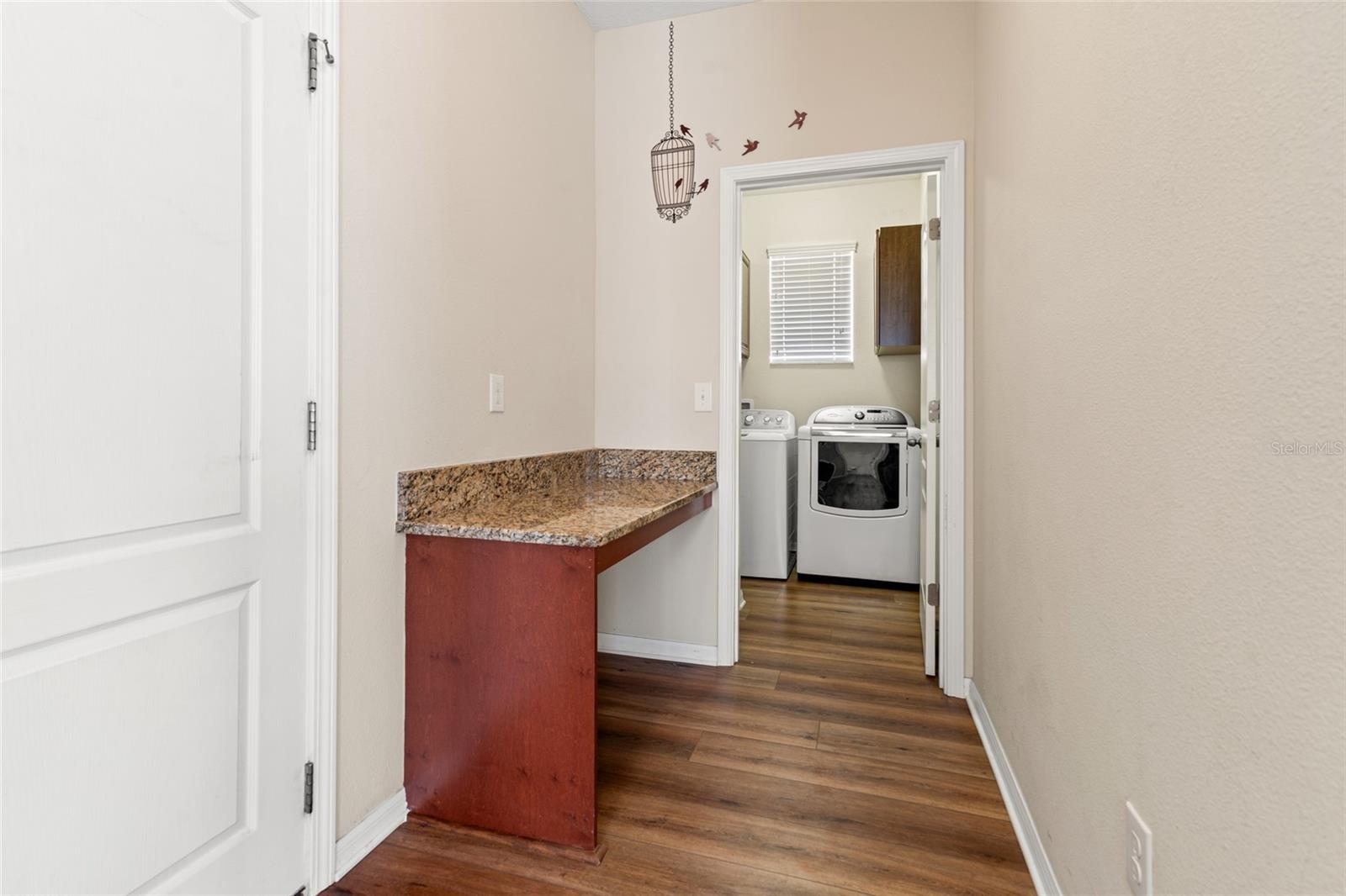18855 HAMPSTEAD HEATH CT, LAND O LAKES, FL, 34638