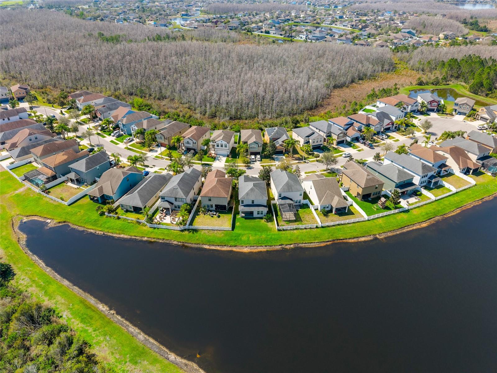 18855 HAMPSTEAD HEATH CT, LAND O LAKES, FL, 34638