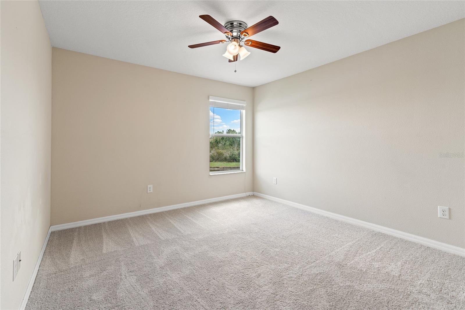 18855 HAMPSTEAD HEATH CT, LAND O LAKES, FL, 34638