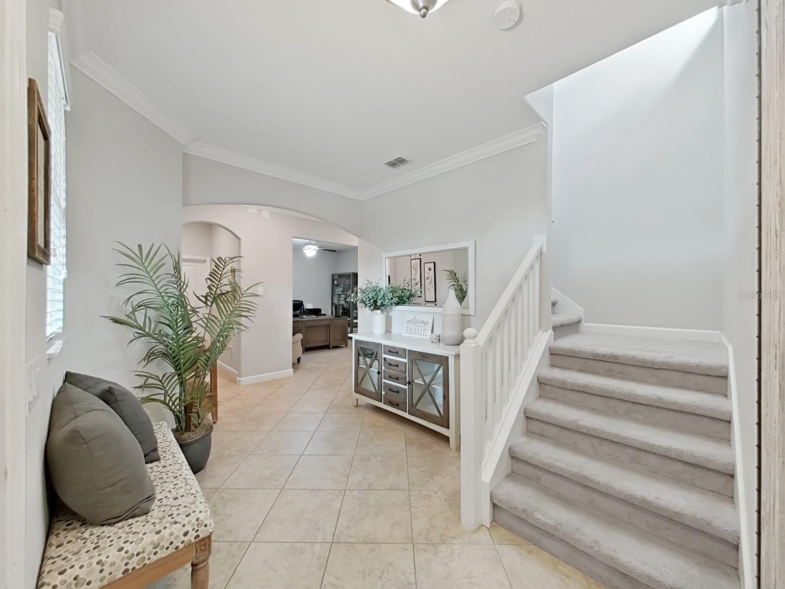 943 TERRA VISTA ST, BRANDON, FL, 33511