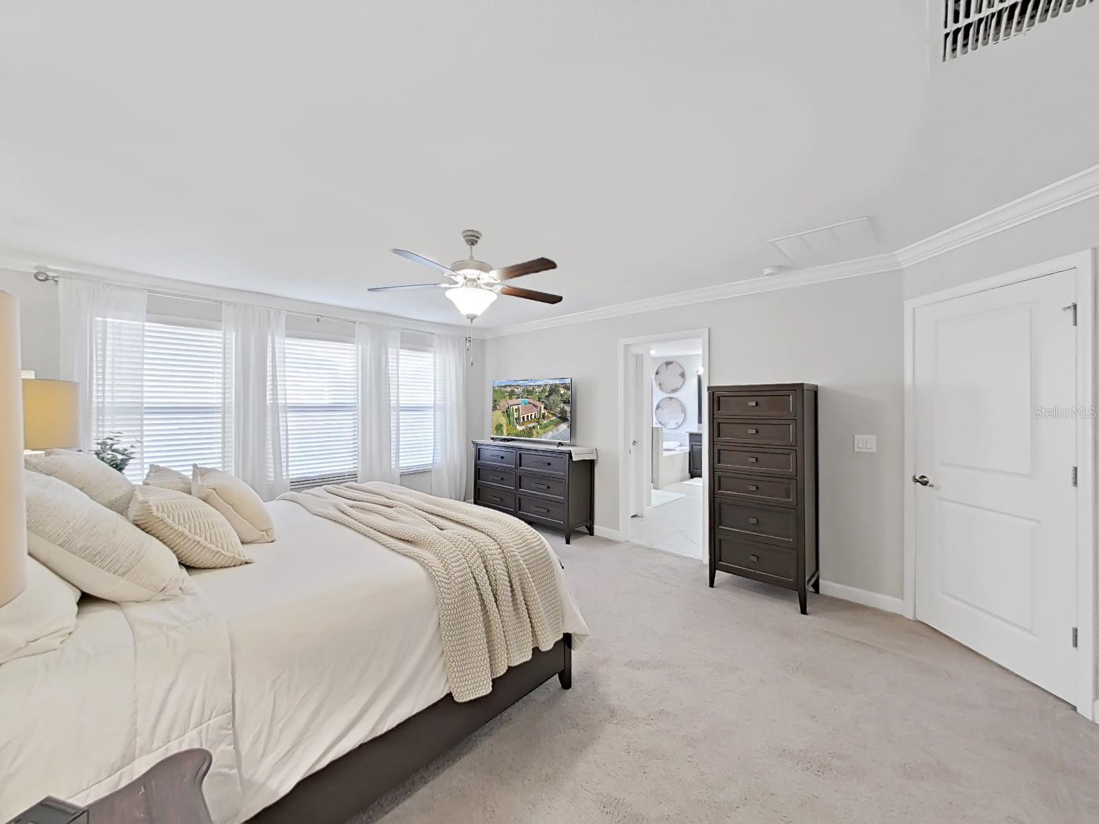 943 TERRA VISTA ST, BRANDON, FL, 33511