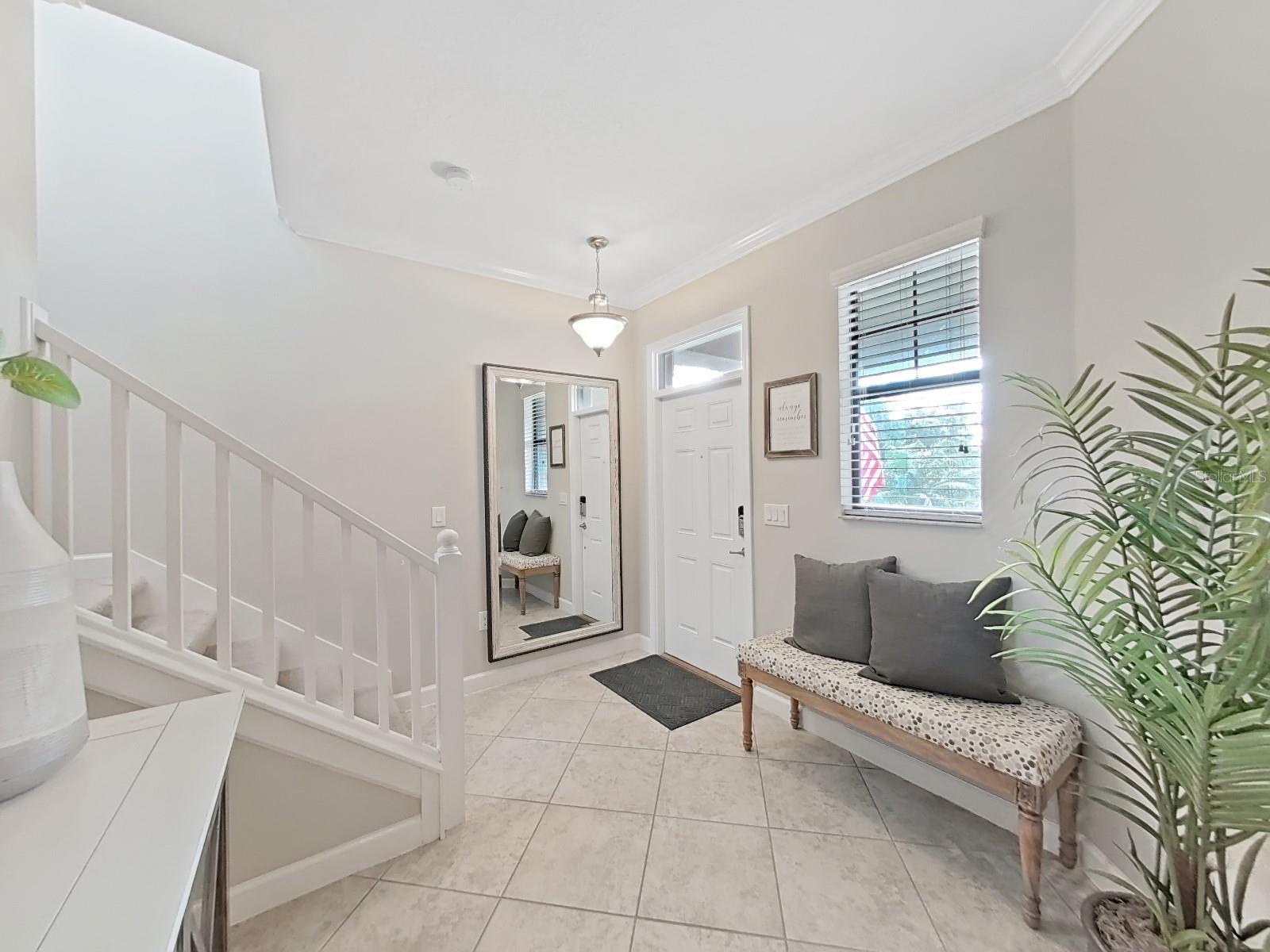 943 TERRA VISTA ST, BRANDON, FL, 33511