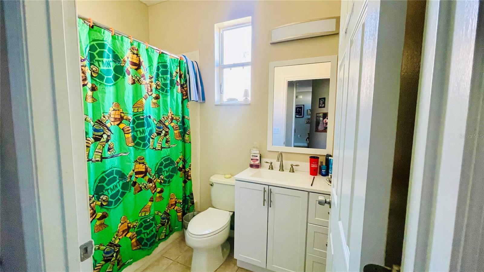 419 CIERRA OAKS CIR, LADY LAKE, FL, 32159