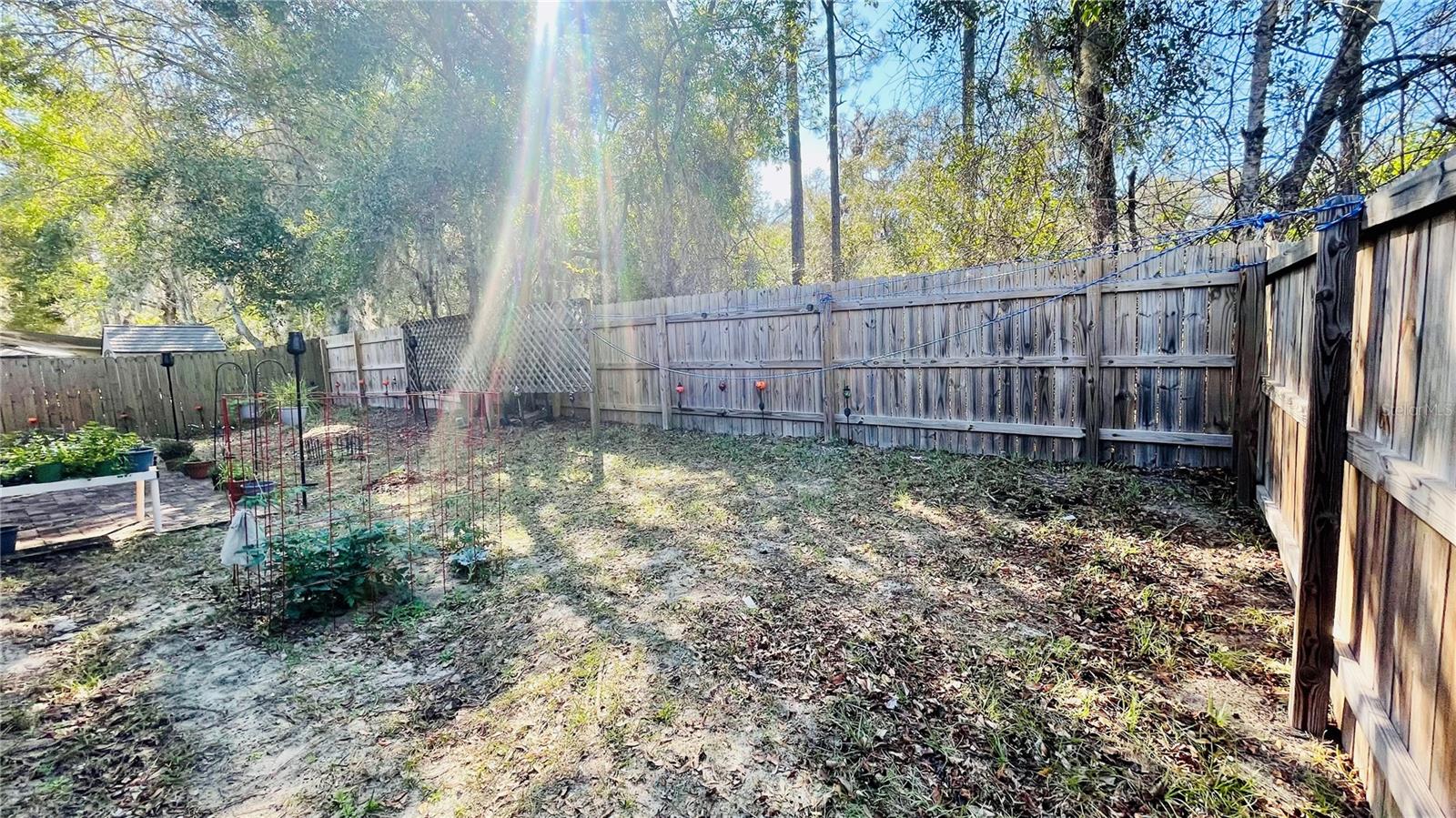 419 CIERRA OAKS CIR, LADY LAKE, FL, 32159