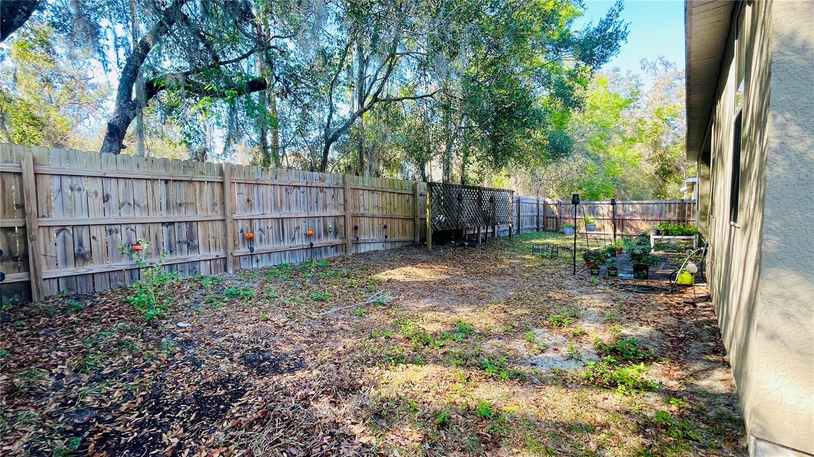 419 CIERRA OAKS CIR, LADY LAKE, FL, 32159