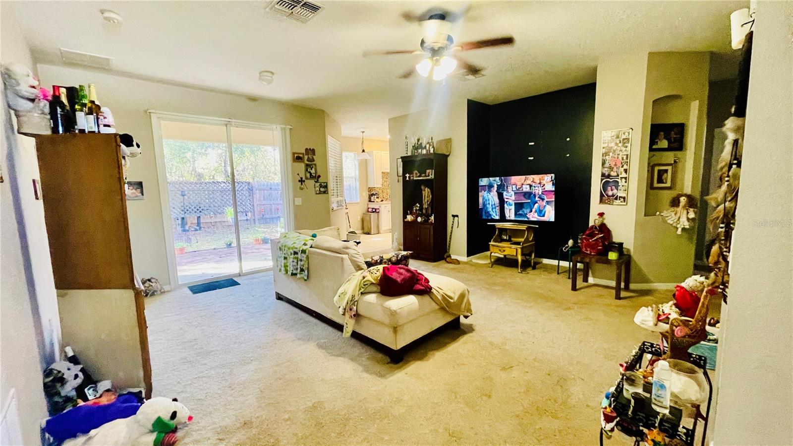 419 CIERRA OAKS CIR, LADY LAKE, FL, 32159