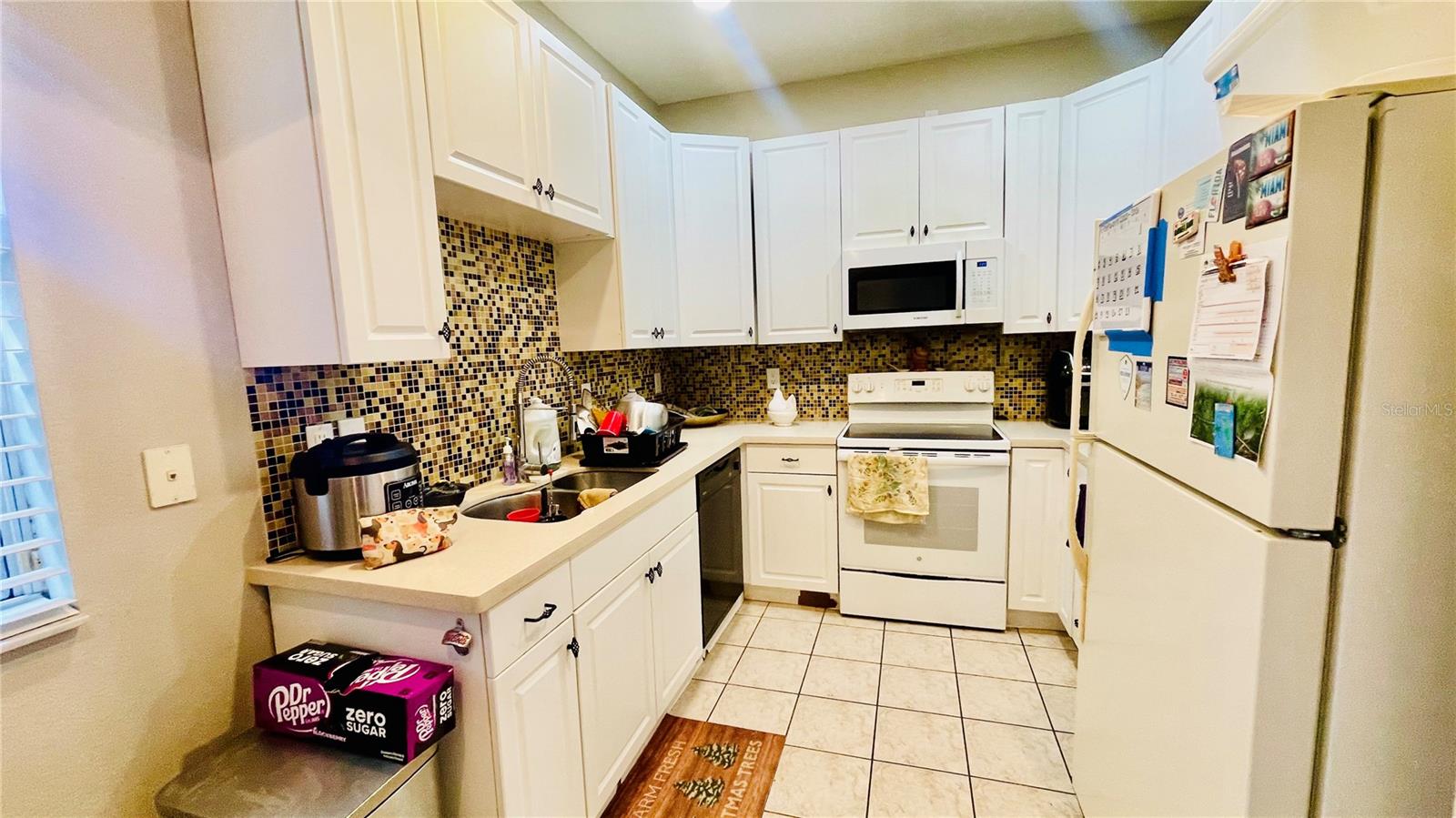 419 CIERRA OAKS CIR, LADY LAKE, FL, 32159