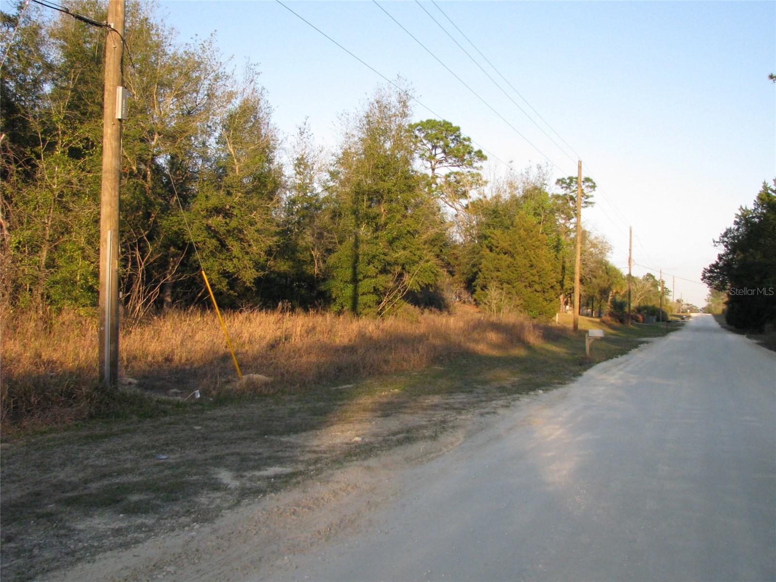 Lot 36 SW 60TH PL, OCALA, FL, 34481