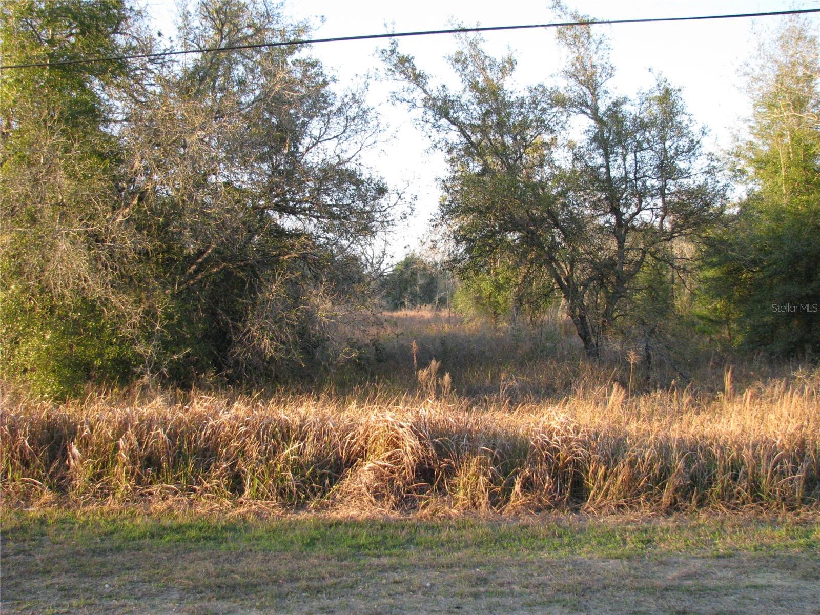 Lot 36 SW 60TH PL, OCALA, FL, 34481