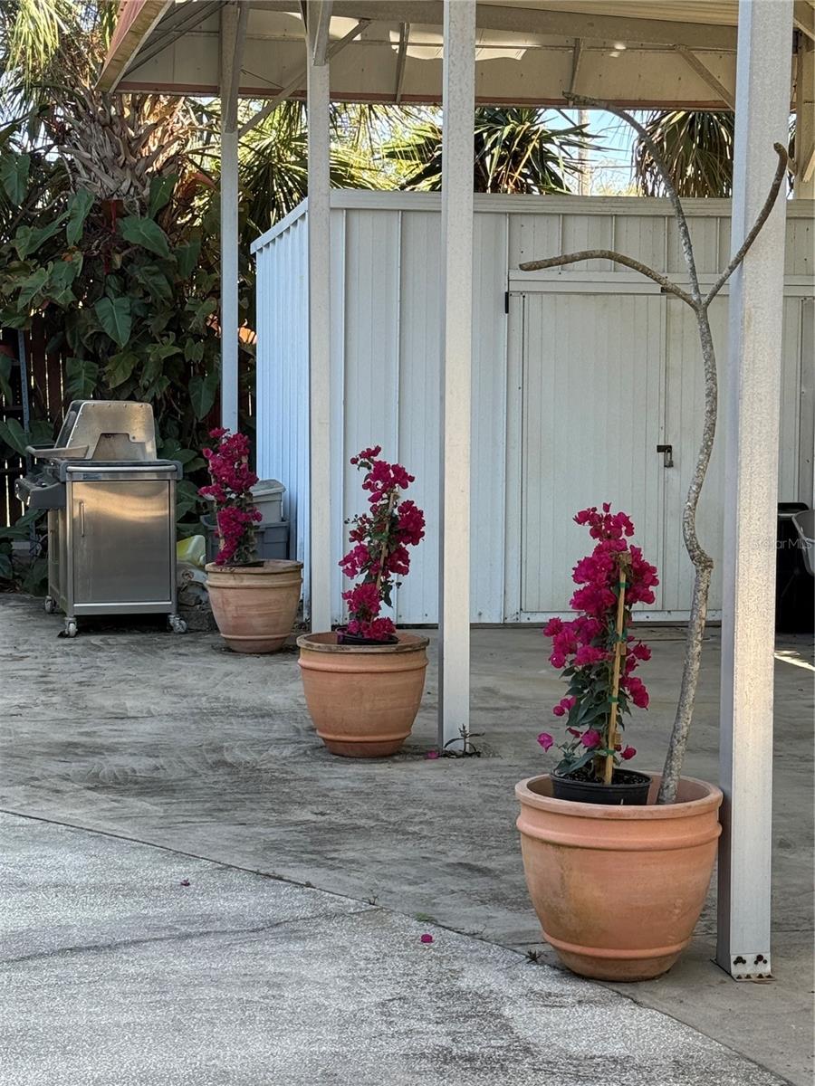 7320 BURLINGTON AVE N, ST PETERSBURG, FL, 33710