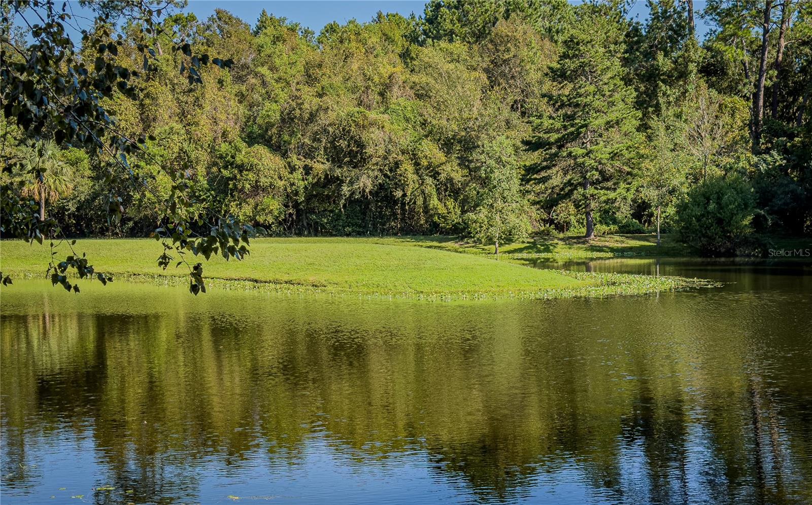 3105 NW 23RD TER, GAINESVILLE, FL, 32605