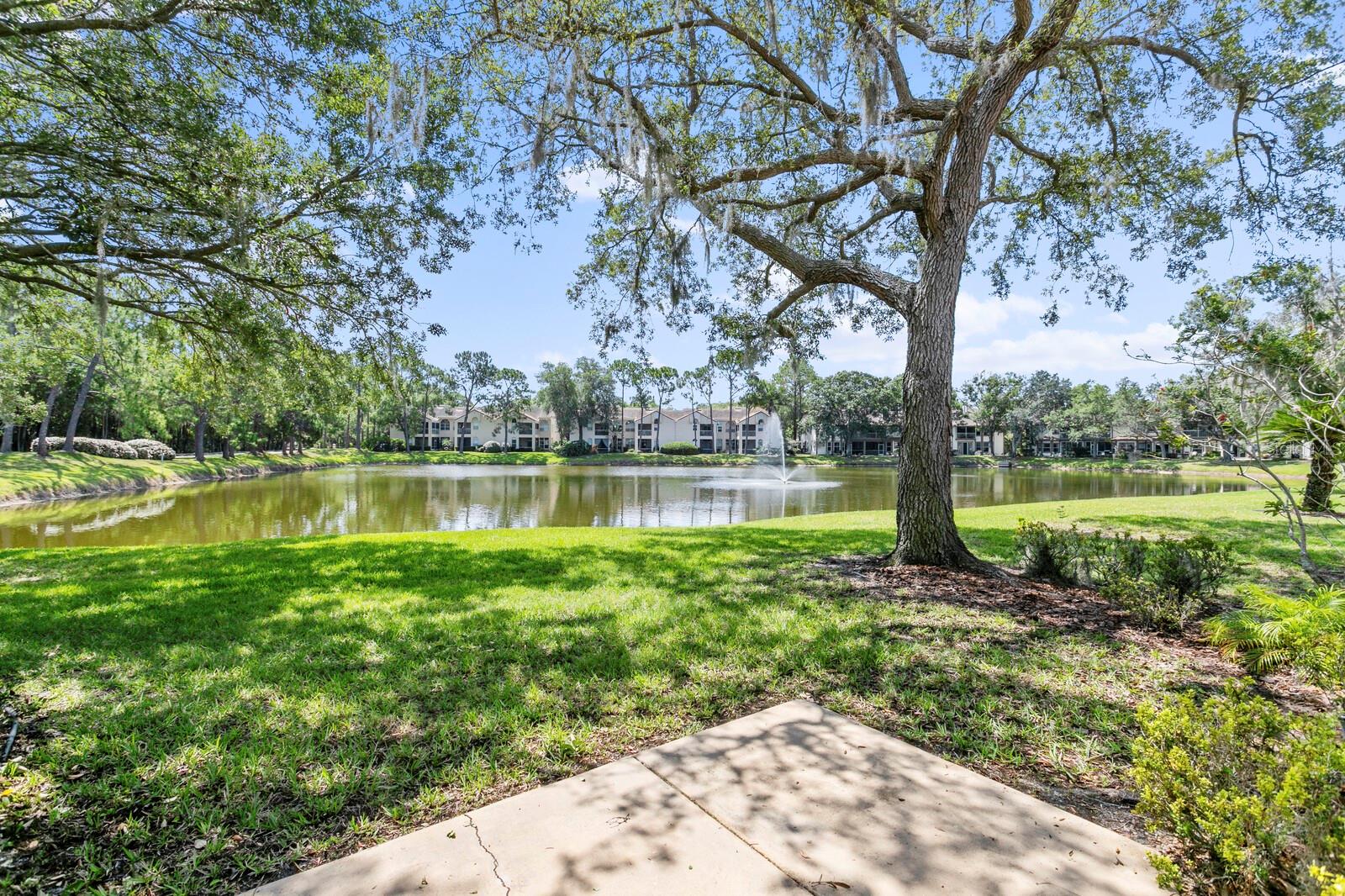 1233 CLAYS TRL, OLDSMAR, FL, 34677