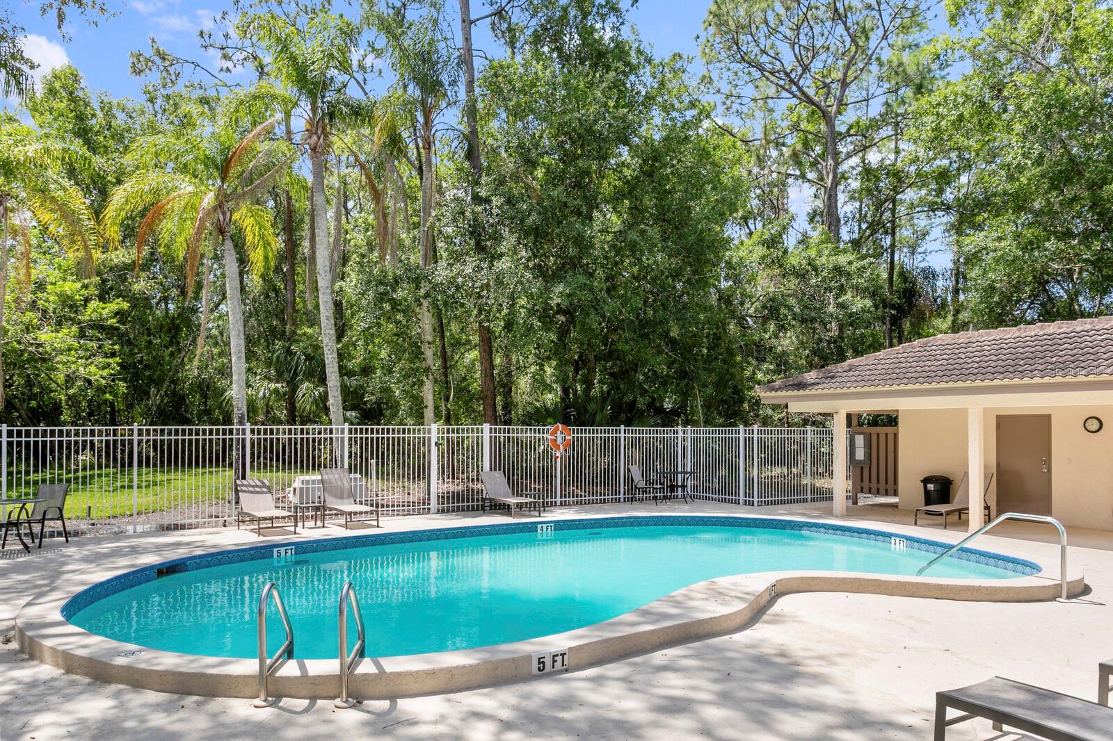 1233 CLAYS TRL, OLDSMAR, FL, 34677