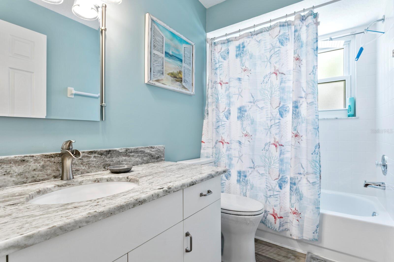 1233 CLAYS TRL, OLDSMAR, FL, 34677