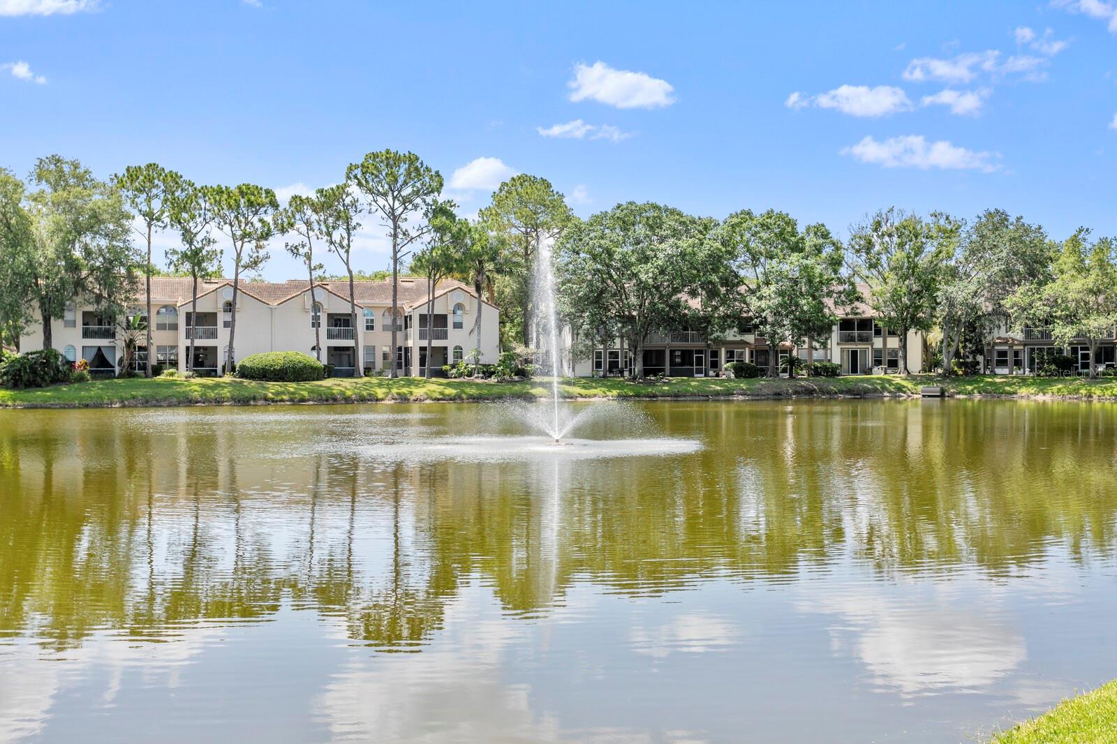 1233 CLAYS TRL, OLDSMAR, FL, 34677