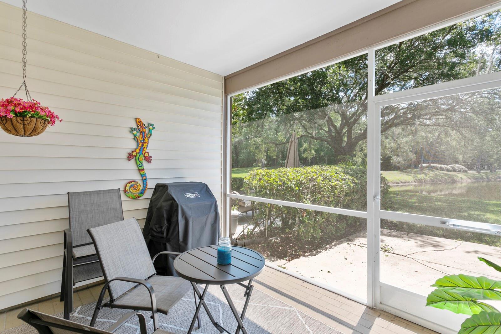 1233 CLAYS TRL, OLDSMAR, FL, 34677