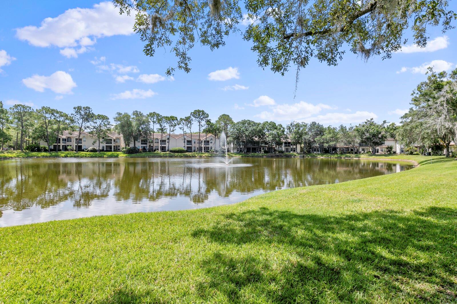 1233 CLAYS TRL, OLDSMAR, FL, 34677