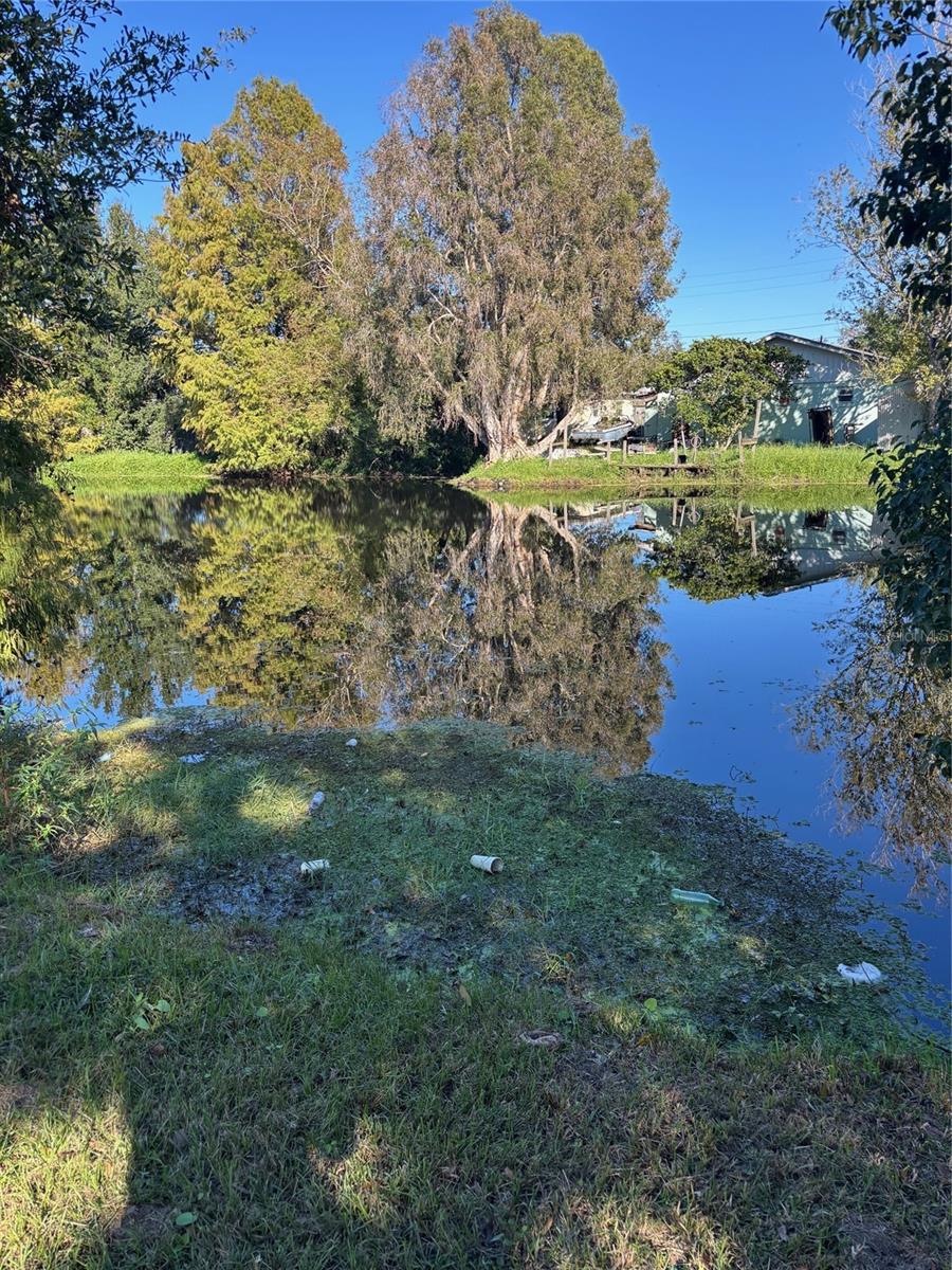 1805 RILEY AVE, ORLANDO, FL, 32805