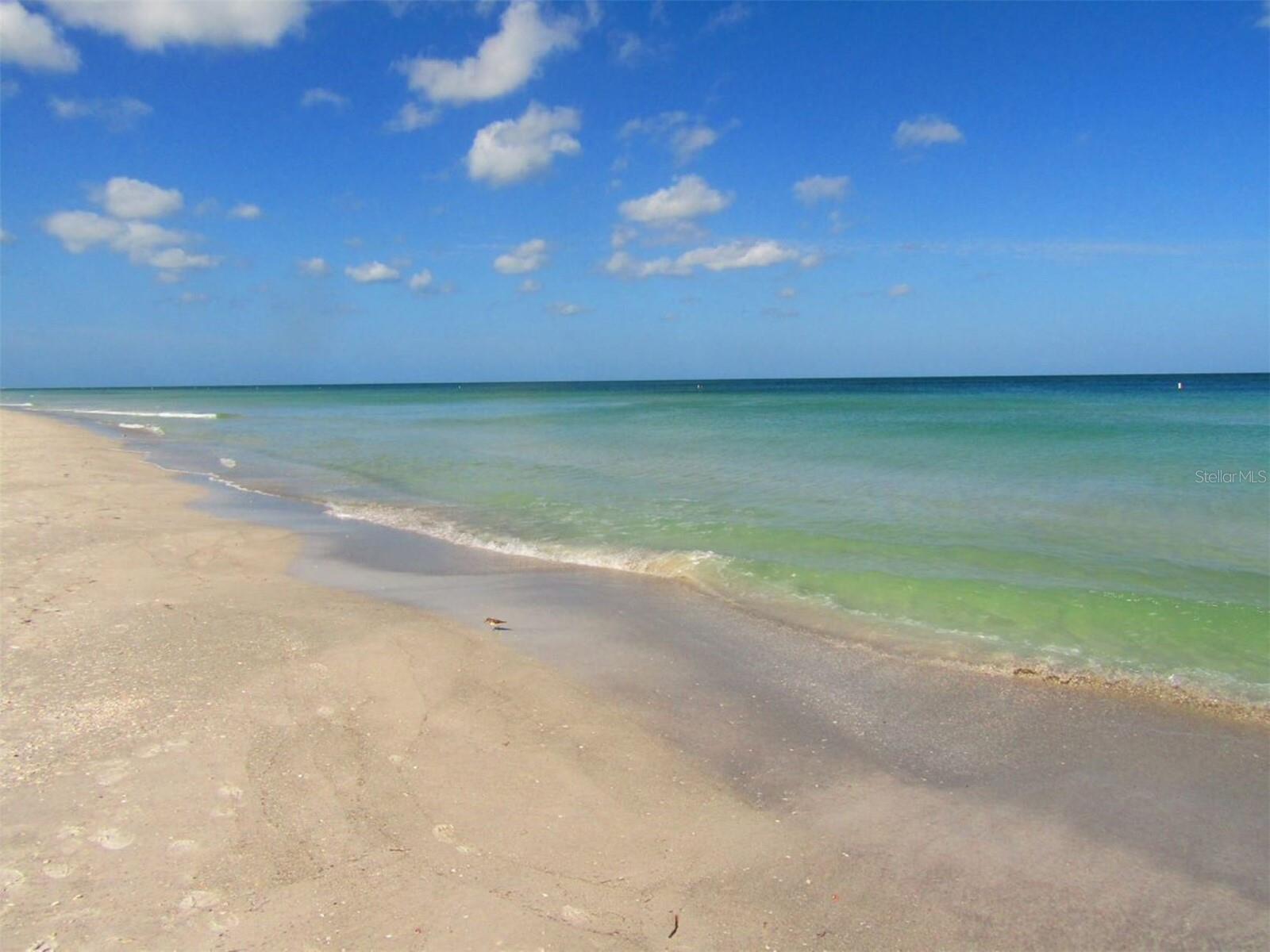 1400 GULF BLVD #204, CLEARWATER BEACH, FL, 33767