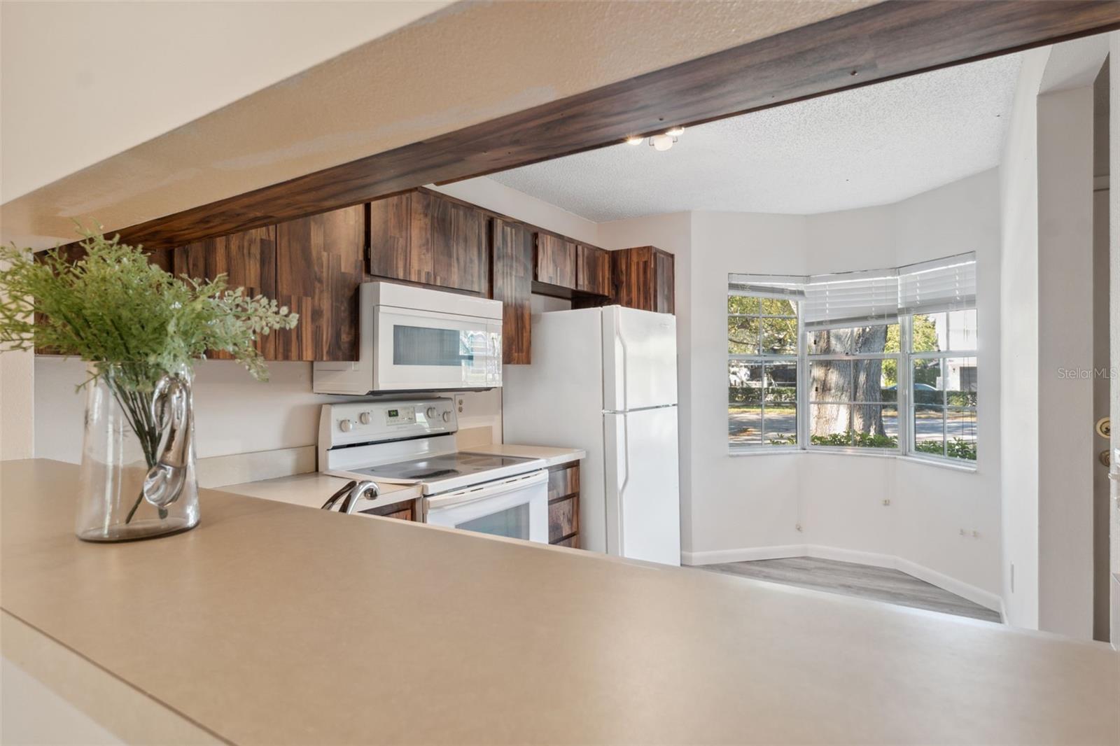 158 BRIGTON CT, SAFETY HARBOR, FL, 34695