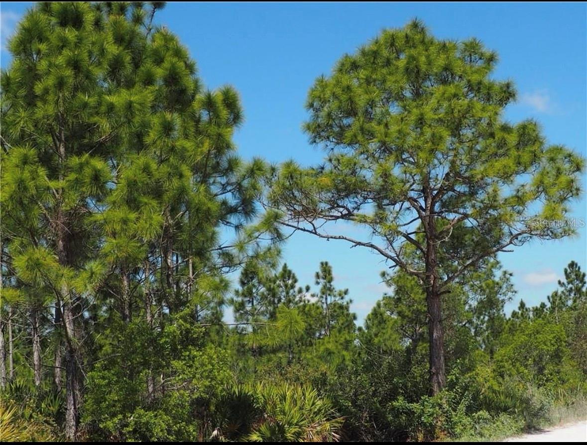 8329 GEWANT BLVD, PUNTA GORDA, FL, 33982