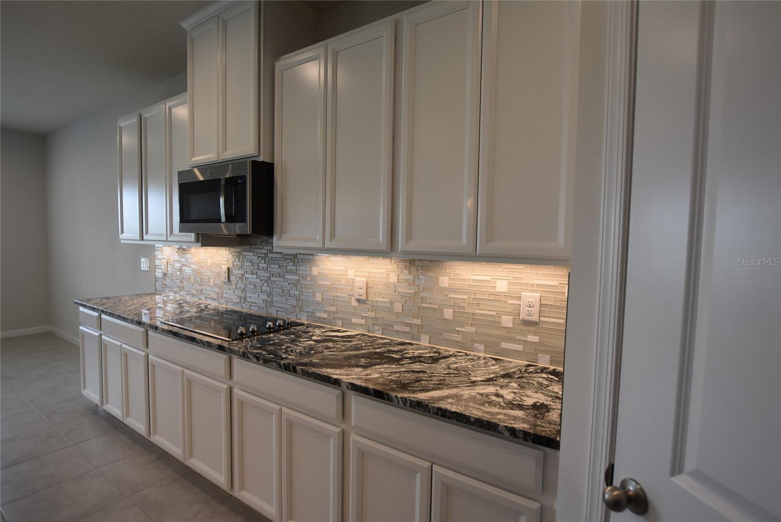 3001 SLOUGH CREEK DR, KISSIMMEE, FL, 34744