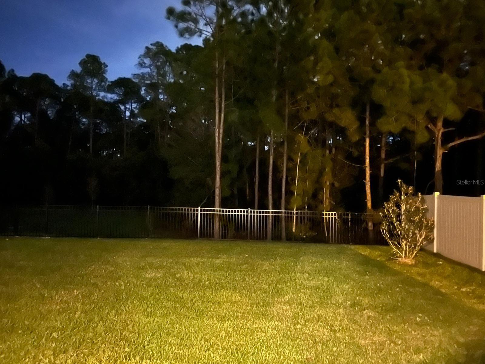 16420 WINDING PRESERVE CIR, CLERMONT, FL, 34714