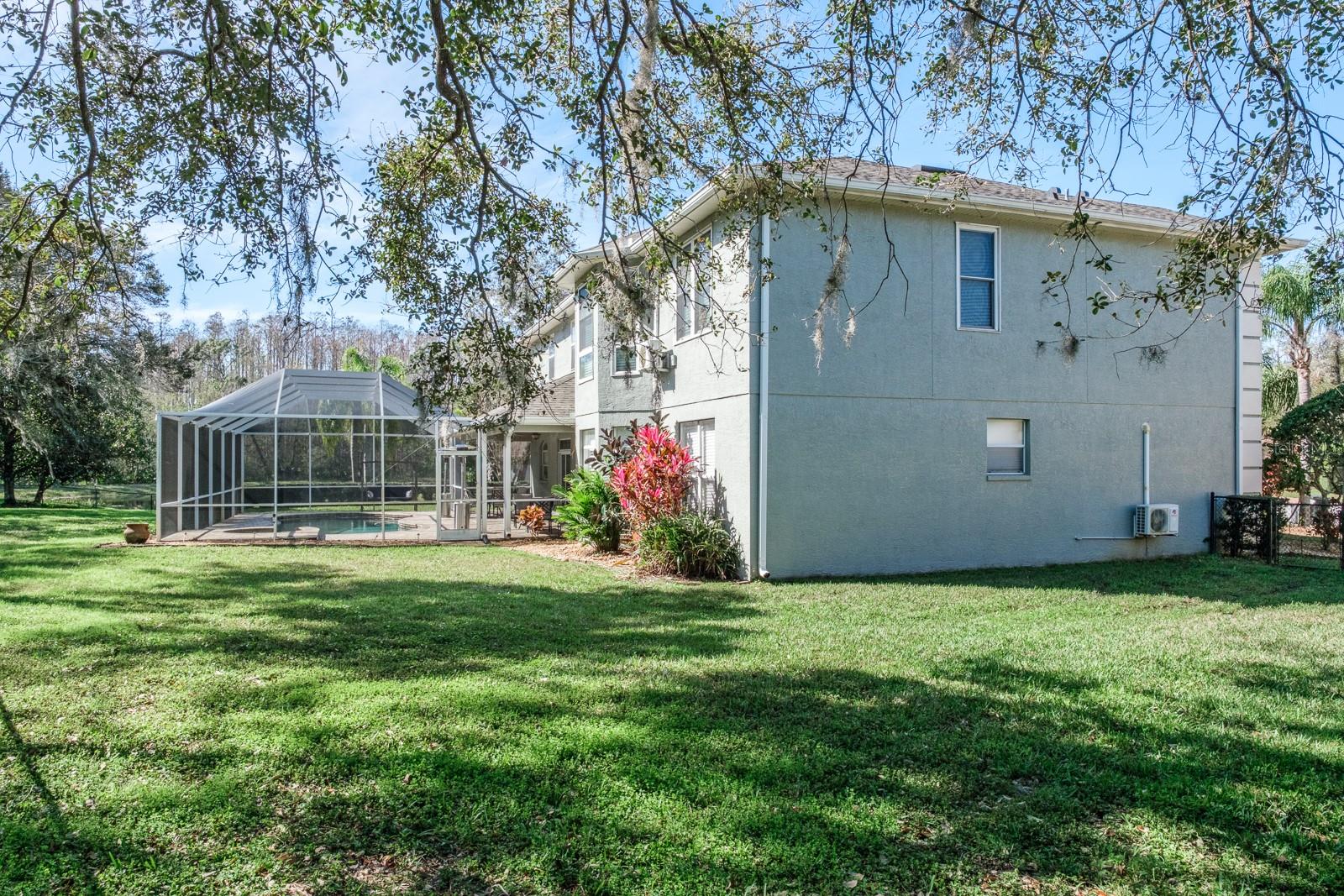 4037 AUSTON WAY, PALM HARBOR, FL, 34685