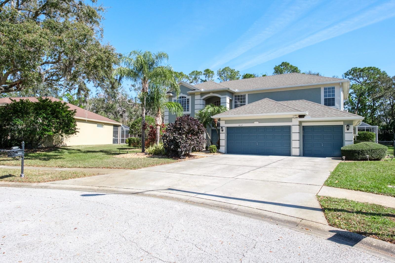 4037 AUSTON WAY, PALM HARBOR, FL, 34685