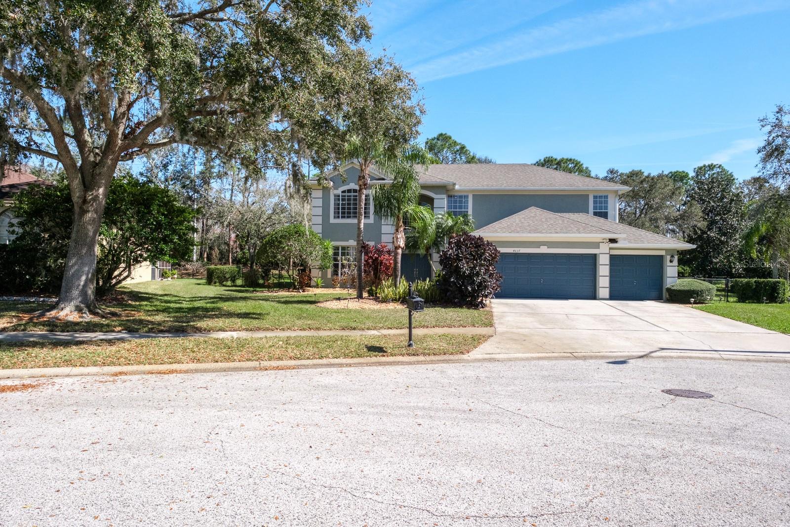 4037 AUSTON WAY, PALM HARBOR, FL, 34685
