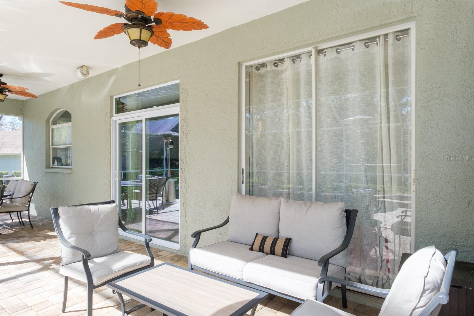 4037 AUSTON WAY, PALM HARBOR, FL, 34685