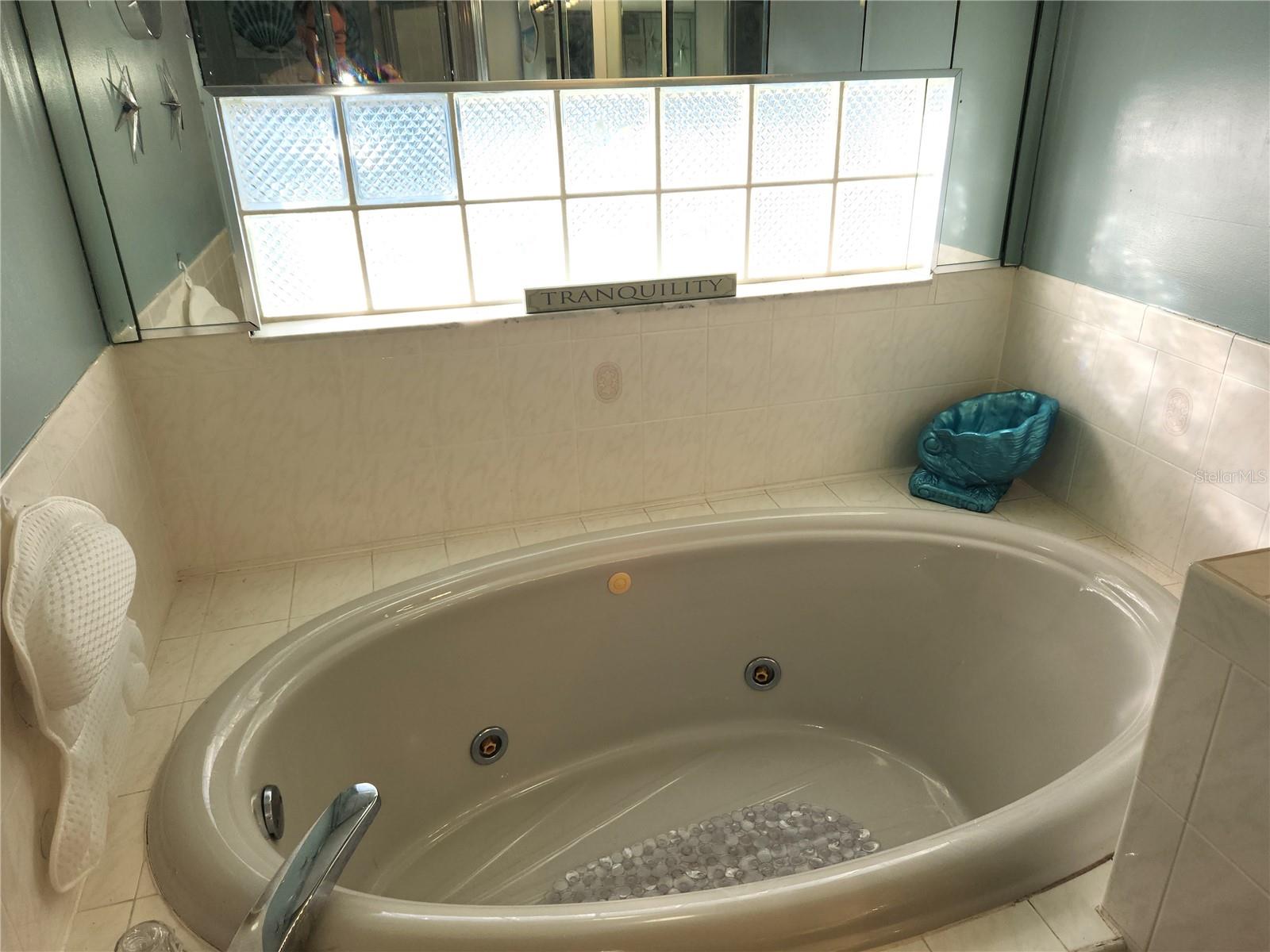 8142 WINDING OAK LN, SPRING HILL, FL, 34606